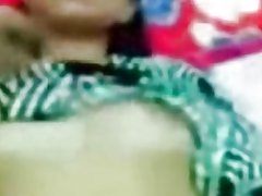 Malayo-tetona gato tímido tímido